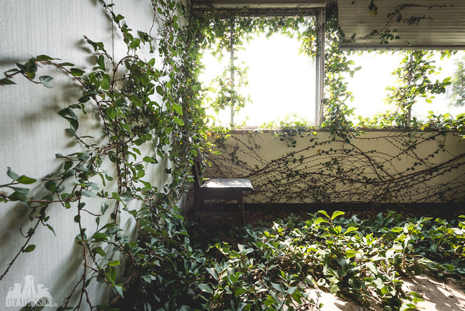 DSC_2086-5fd63600d6e50__880