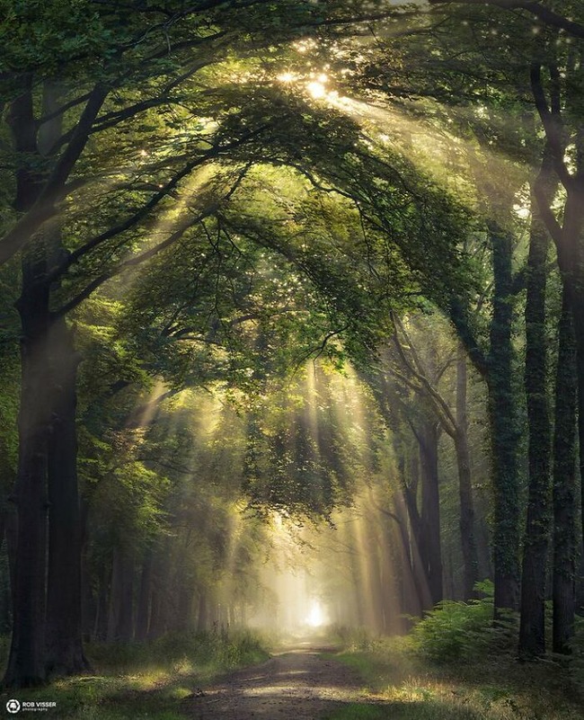 stunning-earth-pics-655dc6c85f892__700