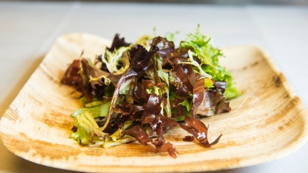 bacon-plant-seaweed-dulse