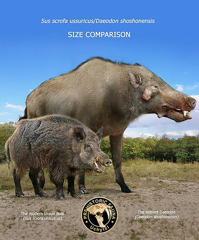 size-of-long-extinct-animals-with-their-modern-relatives