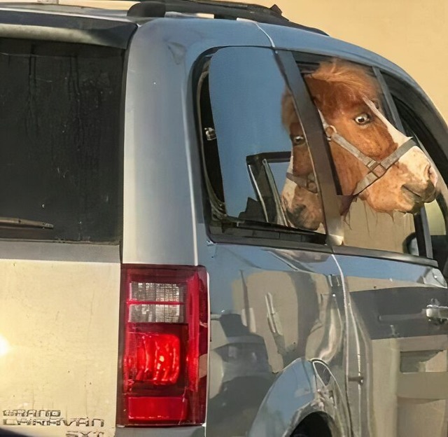 683d738af252e_most-unhinged-cursed-images