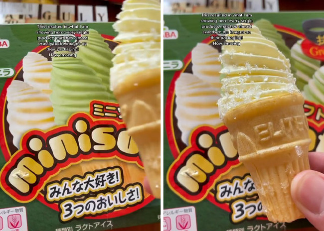 japanese-packaging-vs-reality-6406f082beca1__700