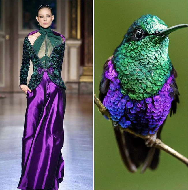 parallels-between-fashion-and-nature