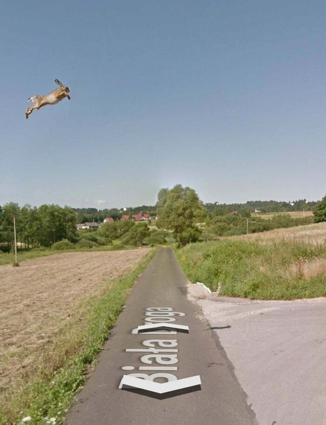 6393335693127_funny-google-street-view-pics