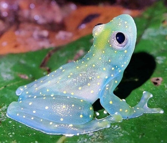 68d103f040242_5uw8z0do9uof1-jpeg