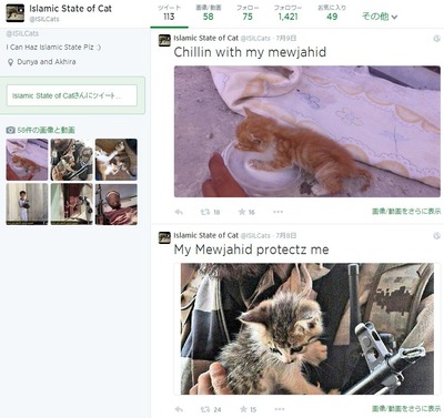 ISIS 猫