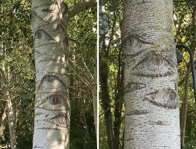 675019ea3e7e4_generated-image