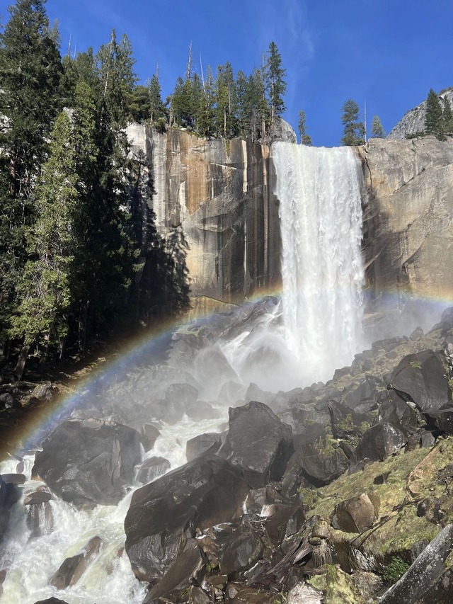 outside pictures from your camera roll