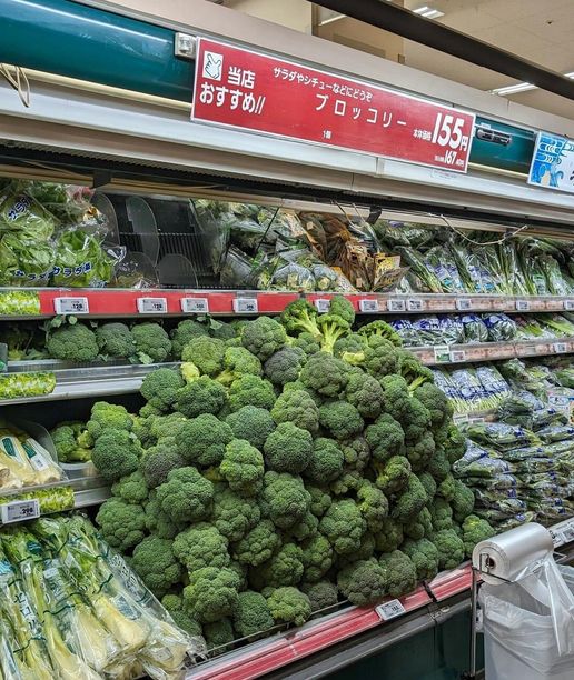 461995166_389266757575137_5879768026700479223_n