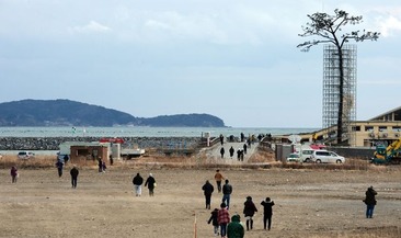 lone-pine-tree-of-rikuzentakata-m
