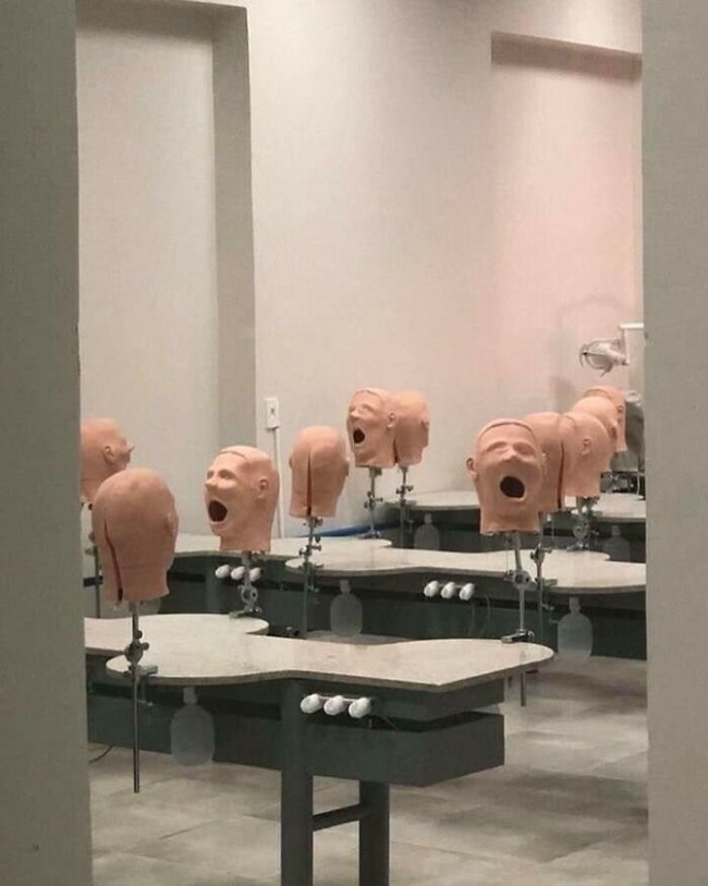 CWOeoY7PWwP-png__700