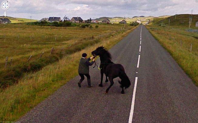 google-street-animals-5d2441cddbde5__700