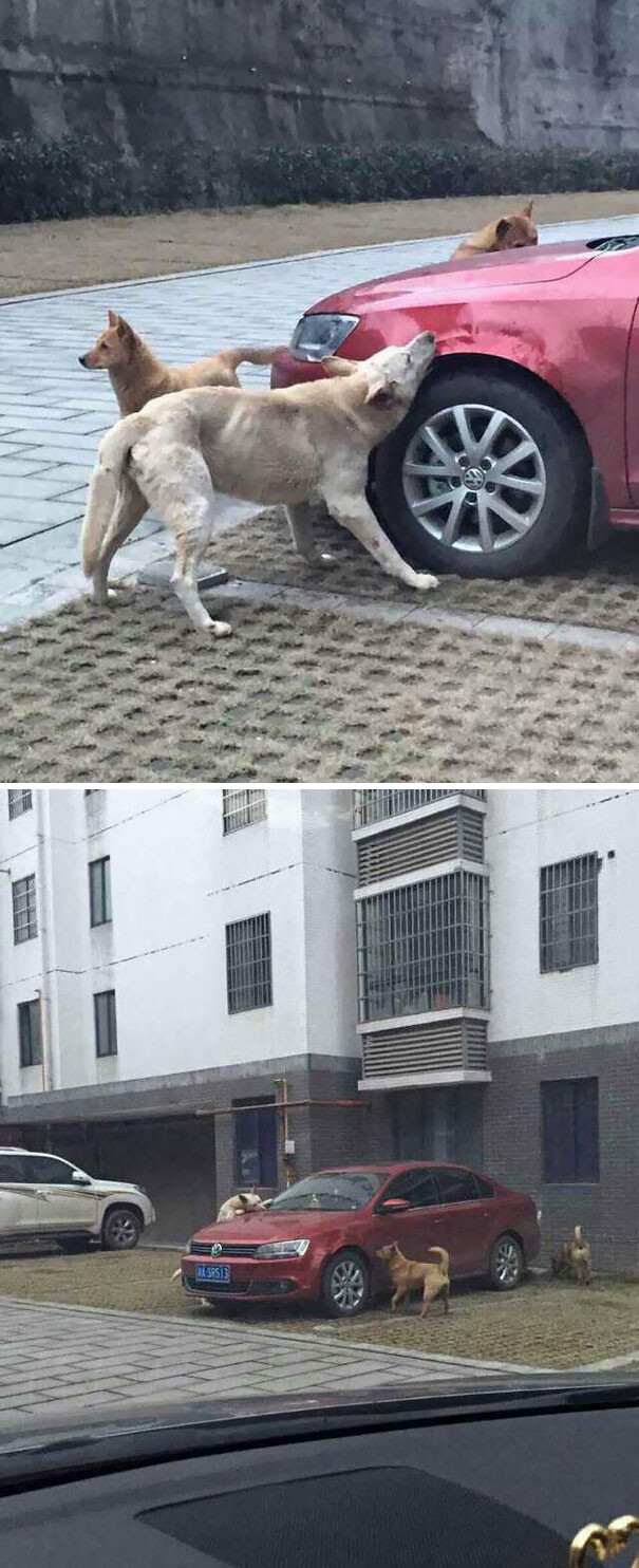 revenge-stories-17-590c7cc669e39__605