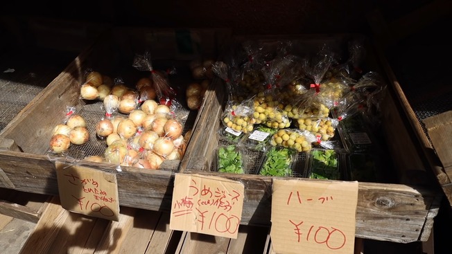 Are Japanese Really Honest