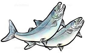 ダウンロード (2)