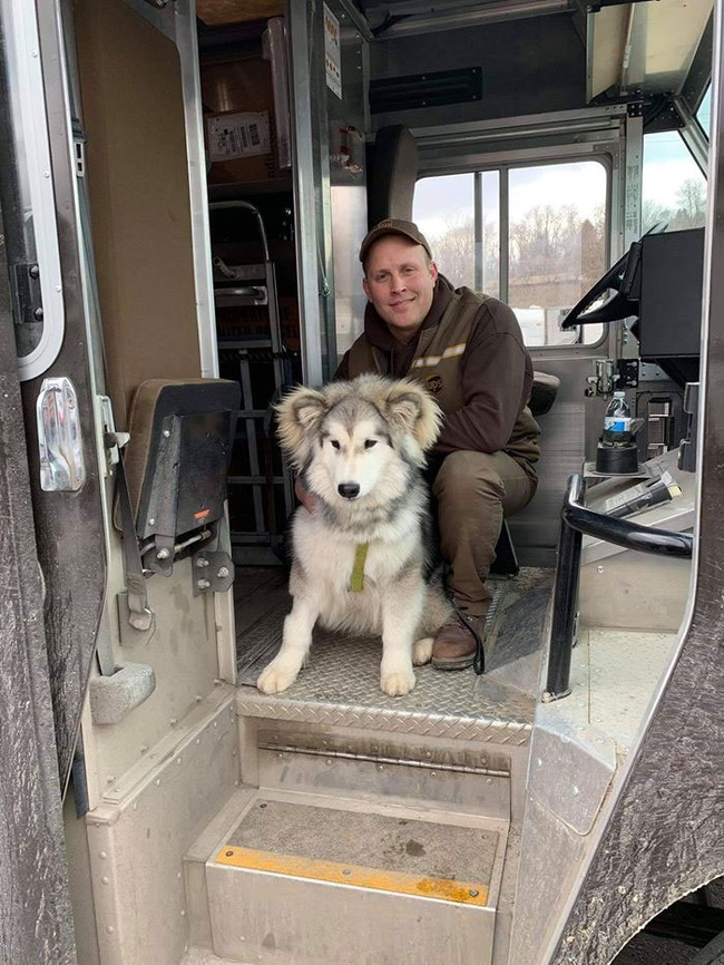 ups-drivers-meet-animals-best-of-all-time-32-6666a8b90ebc1__700