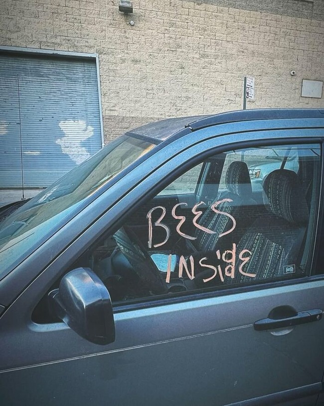 funny-pics-what-is-new-york-6752b985e6dbb__700