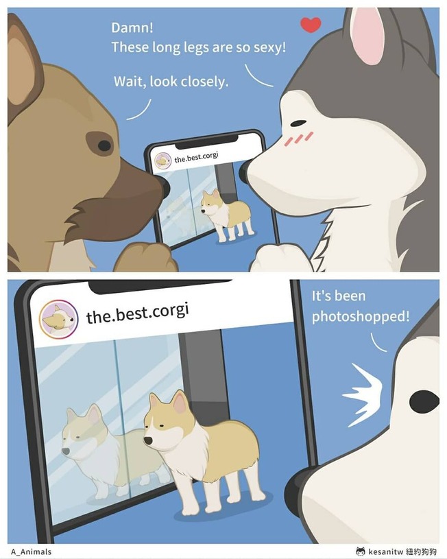 adorable-comics-showing-how-animals-would-act-like-humans