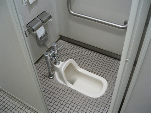 toilet1