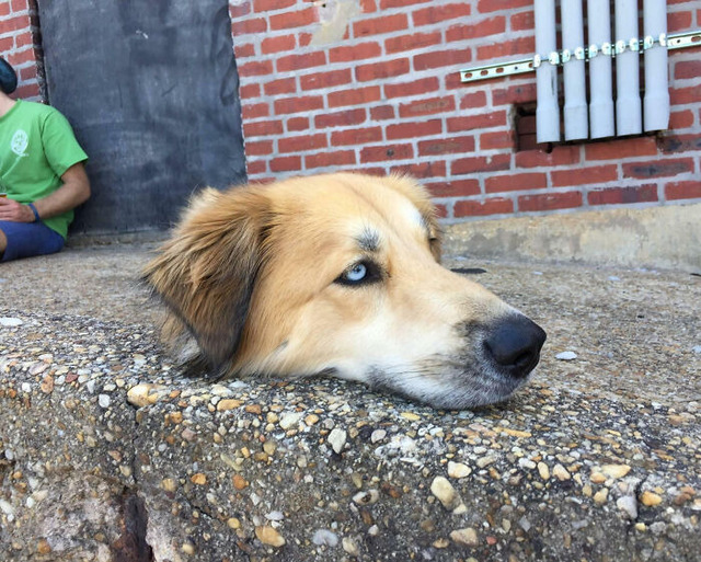 68e62d5203a29_confusing-not-phot