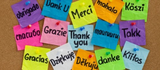 languages-540x238-q90