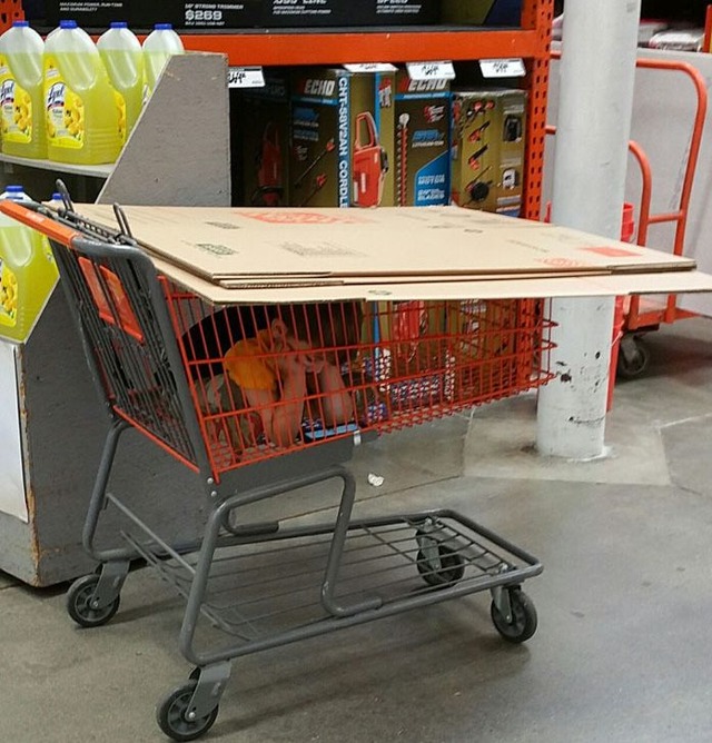 funny-moms-vs-dads-pics-8-68cc14(1)