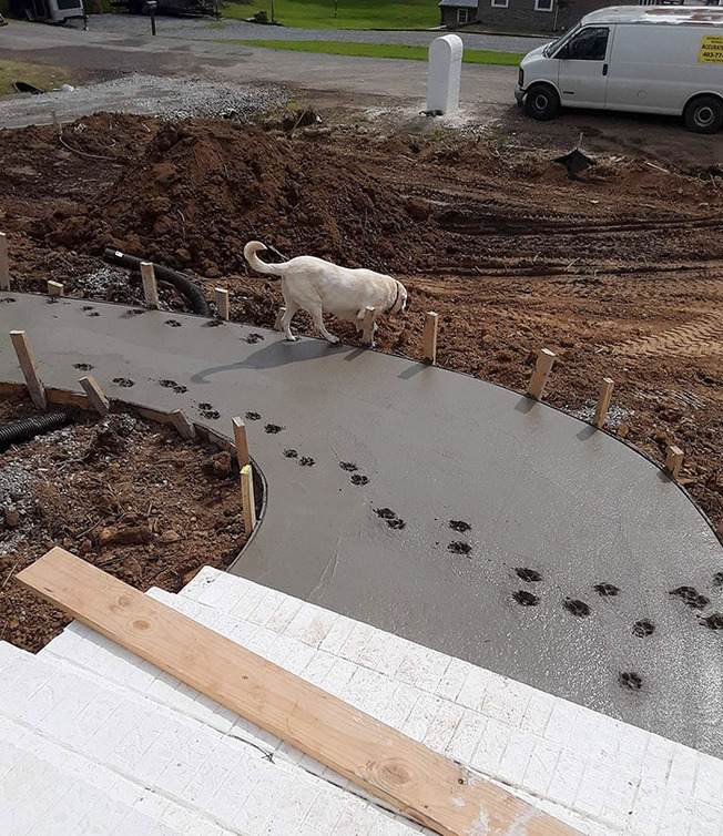 pets-destroying-things-536-603f43f8b568b__700
