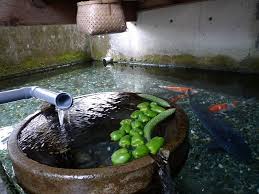 ダウンロード (2)