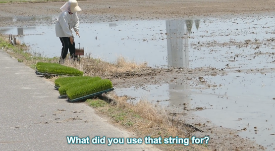 田植え 初挑戦 海外の反応