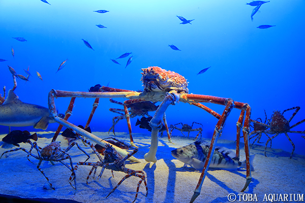 info_head_image_1521182138