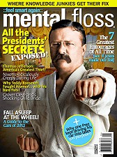 teddy_karate_2_1_2_13