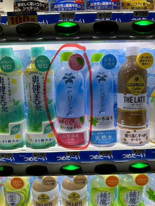 449783634_10161443491129588_3348462804021686706_n