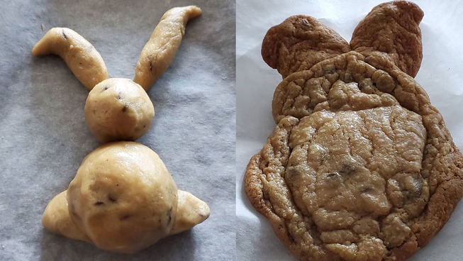 quarantine-baking-fails-6-5e94252a4d46d__700