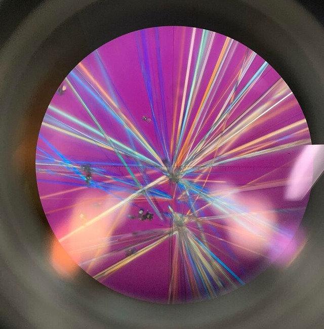 684968aae1c35_interesting-microscope-pictures