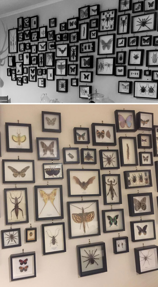 interesting-collections-5-5faa8f795d3e4__700