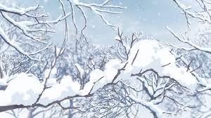 images (4)