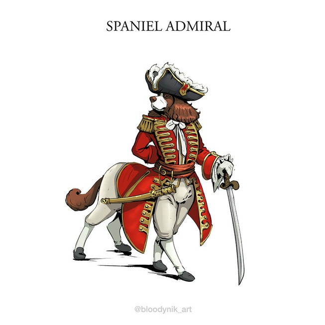 Spaniel-Admiral-5badb2ace16f0-png__880