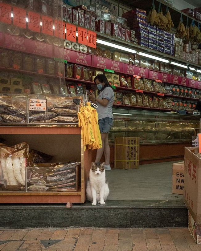 241439297_10161817360961840_5383999763574368210_n