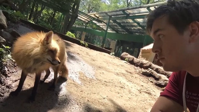 3a6d2c47-077b-4829-81ff-b149c913fe13