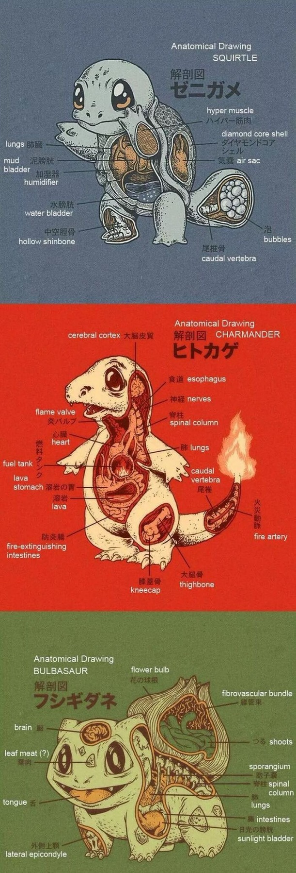 aK3weVZ_700b_v1
