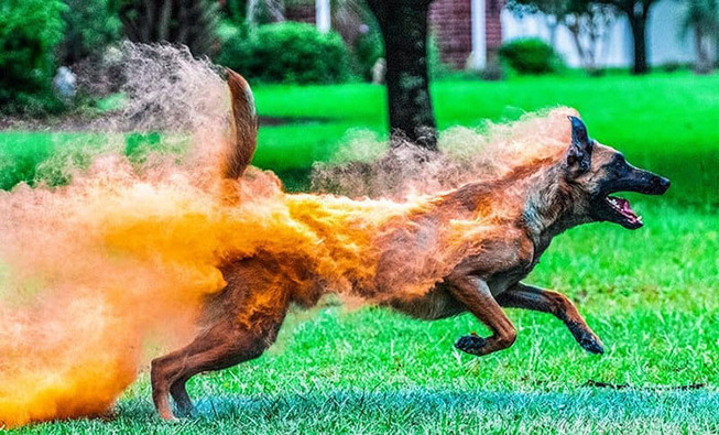 incredible-not-photoshopped-photos-500-5d9dc01d87ff0__700