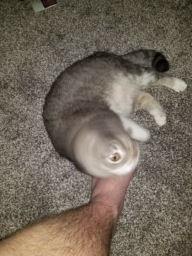 63ce5546840e4_t9l1u7ihb3141__700