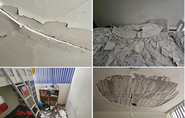 infuriating-terrible-landlords-33-66f12a0c631ec__700