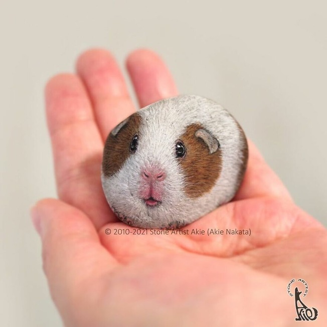 Akie-Nakata-Japanese-artist-turns-stones-into-art