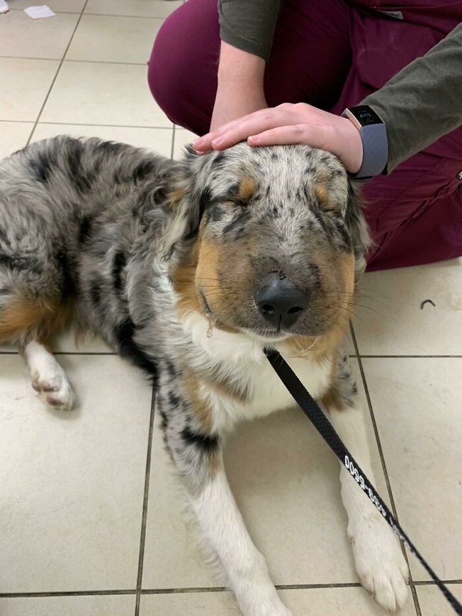 6192722dd9eda_h6nwwxq8nrw61__700