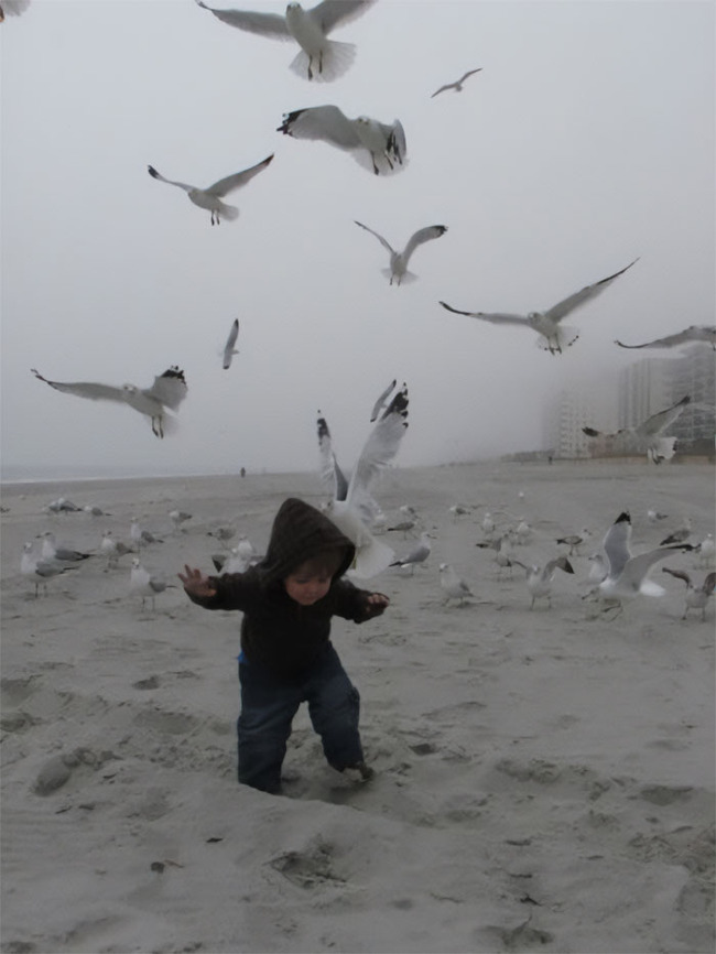 funny-candid-bird-photography-6346bca32cb39__700