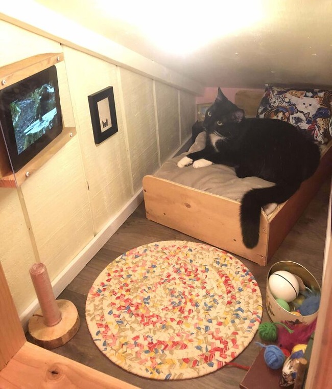 677d49c7ea464_spoiled-pets