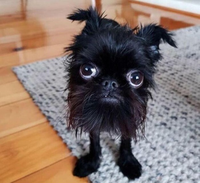 63725c5988ce1_u62topdocew91__700