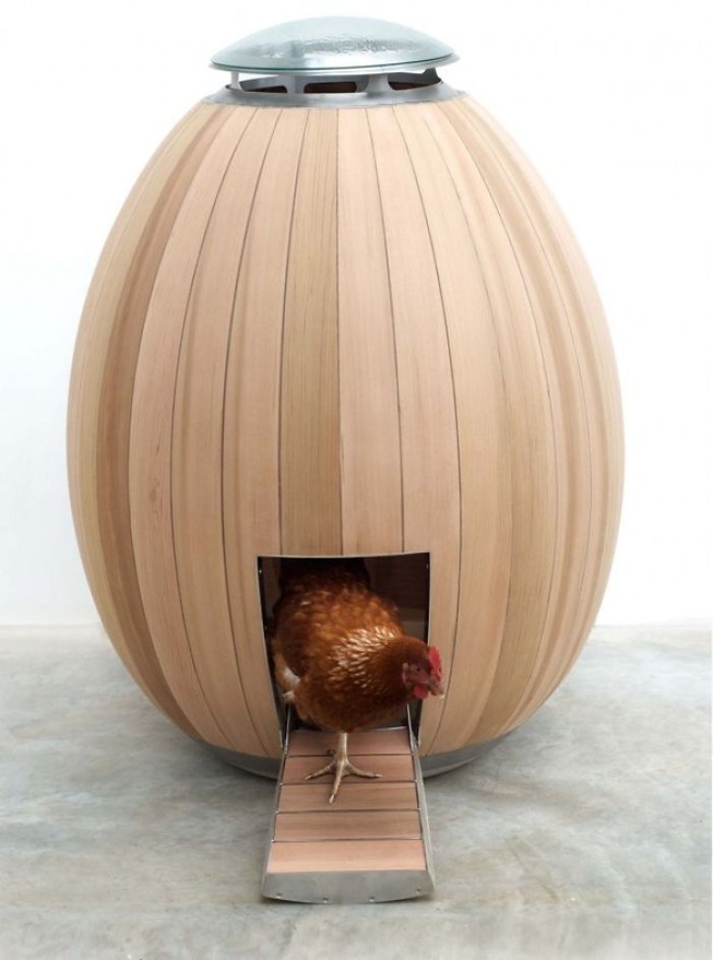 creative-chicken-coops-designs-22-5f0d9107b49ba__700