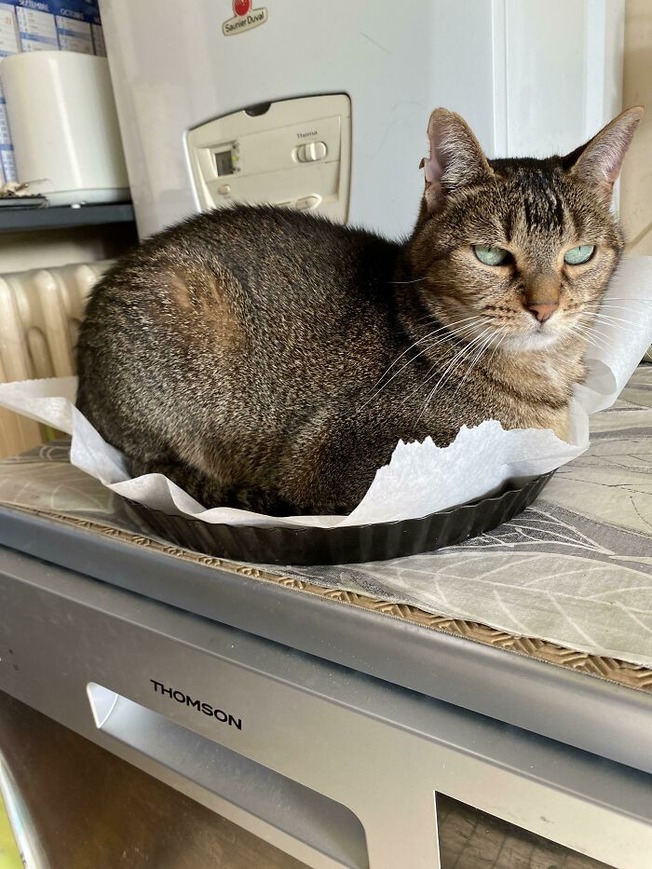 61a0fc1bf23b5_ijp4or3wssr71__700